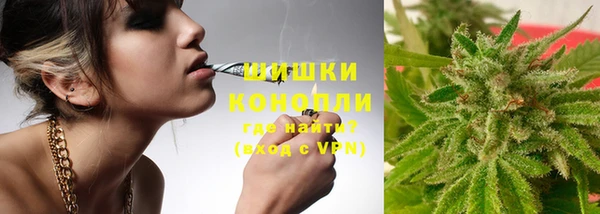 спиды Бородино