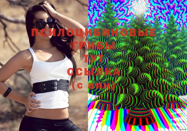 прущие крисы Верхний Тагил