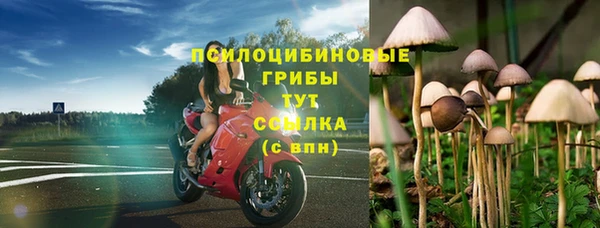 прущие крисы Верхний Тагил
