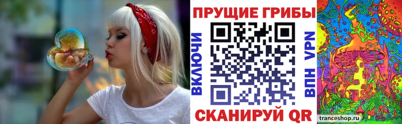 хочу Карталы Галлюциногенные грибы прущие грибы